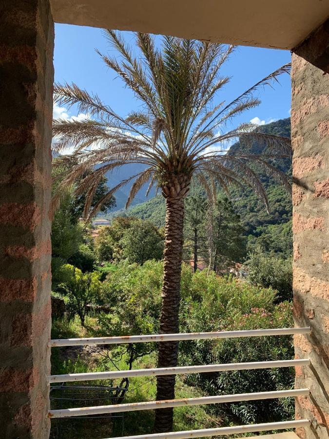 Hotel Colombo- Porto Corse Kültér fotó